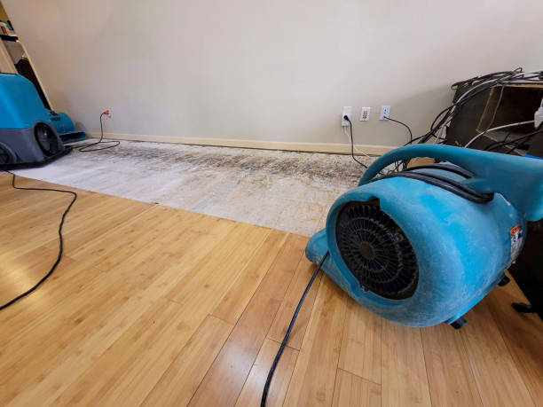 Professional Structural Drying technician working in Brookside, DE